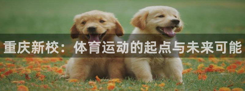 球速体育