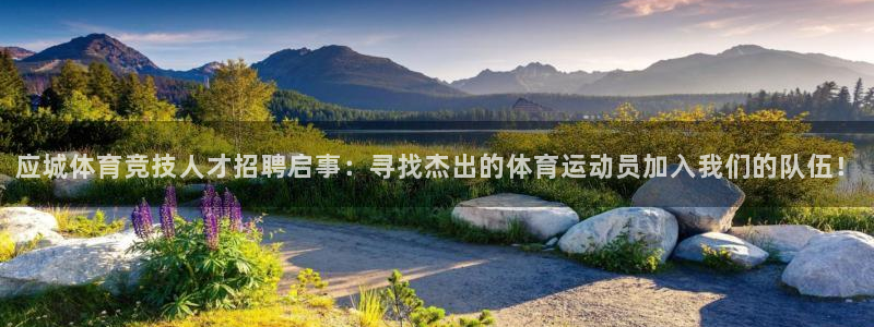 球速体育