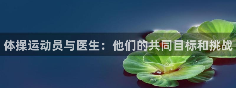 球速体育