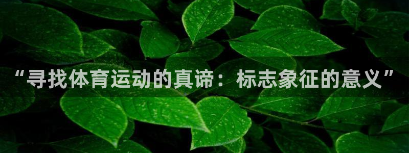 球速体育