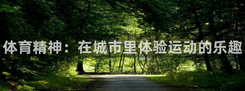 球速体育