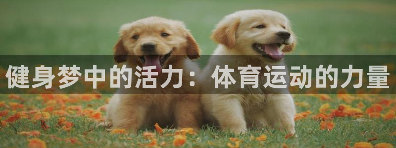 球速体育