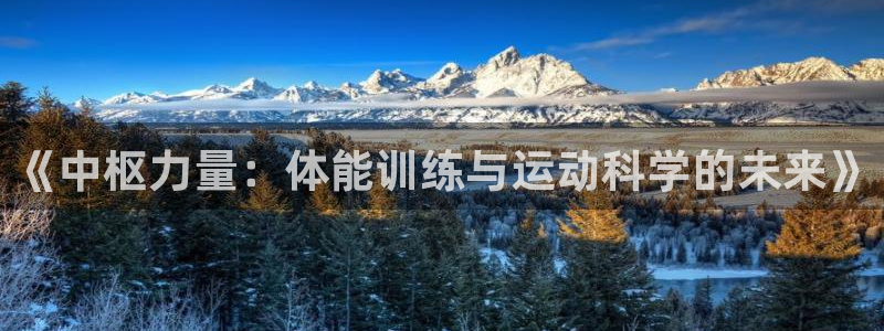 球速体育
