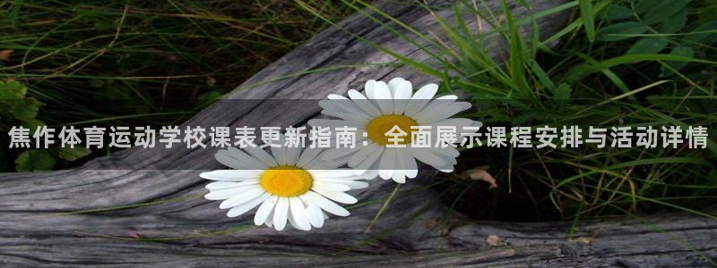 球速体育