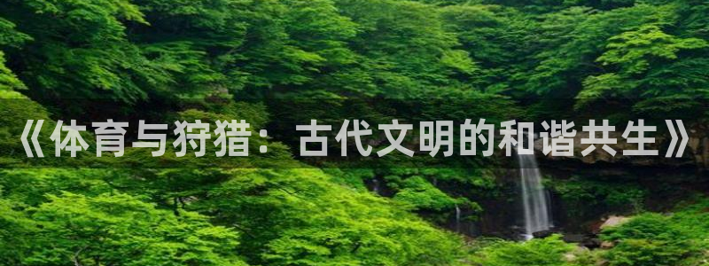 球速体育