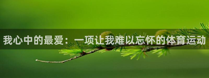 球速体育