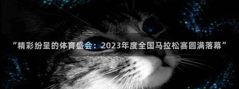 球速体育