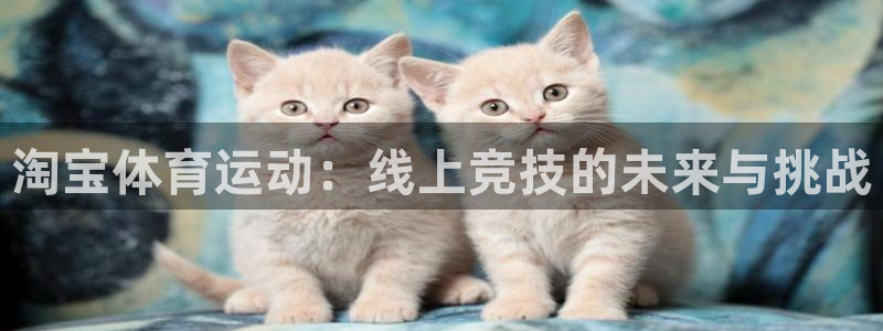球速体育