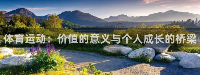 球速体育